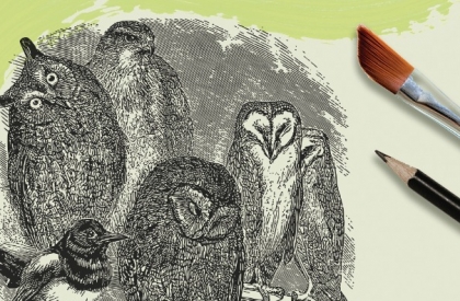 plakat na którym widnieje duży napis "III Biennale" na dole znajduje się szkic drapieżnych ptaków (sów i kruków), a obok grafika pędzla i ołówka
