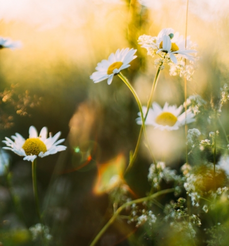 daiga-ellaby-YnNczu62rdk-unsplash